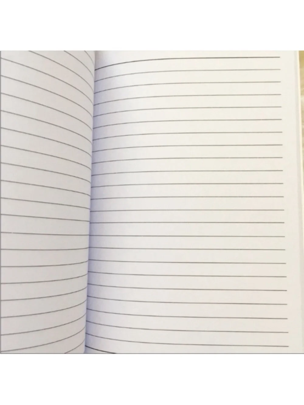 Beyoncé Central 23 SLAY THE DAY Notebook